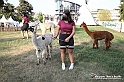 VBS_8129 - Inaugurazione 72.ma Fiera del Peperone di Carmagnola